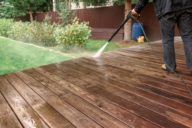 Best Animal Enclosure Cleaning  in Bay Park, NY